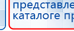 СКЭНАР-1-НТ (исполнение 01 VO) Скэнар Мастер купить в Йошкар-оле, Аппараты Скэнар купить в Йошкар-оле, Официальный сайт Денас denaspkm.ru